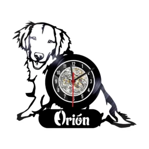 Reloj en Vinilo LP/ Vinyl clock Personalizados Mascotas